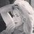 Lori Timmer's profile image