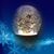 Rita Schau's profile image