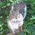 Susan Robertson's profile image