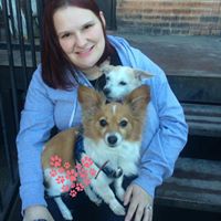 Brittney Ronan's profile image
