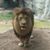 Stephanee Ashlee's profile image