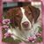 Susan Estes's profile image