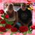 Sheila Trimpey's profile image