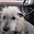 Evie Mayhew-Burwell's profile image