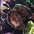 Matt Howery's profile image