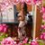 Arlisa Bonner Parham's profile image