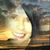 Tracy Rothmeier's profile image