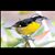 Rey Nita's profile image