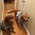 Cheri Dudreck Gmiter's profile image
