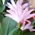 Laurette Graham Carr's profile image