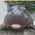Adam Felts's profile image