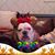 Pam Bailey's profile image
