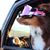 Steve Causie's profile image