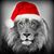 Roxanne Holahan's profile image
