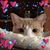 Chrissy Ritter-Beatty's profile image