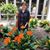 Josephine Thorne's profile image