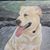 Kevin Burns's profile image