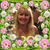 Wivi Selmer's profile image