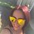 Maria Anta's profile image