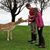 Christy Dawn Whipple's profile image