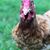 Matthew Lloyd Brovender's profile image