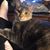 Kimberly Brauner's profile image