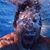 Jake Borchardt's profile image