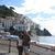 Jane Uhlenbrauck's profile image