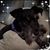 Teresa Coggins's profile image