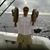 John Hamilton's profile image