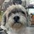 Jay Meyer's profile image