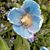 Deb Patterson's profile image