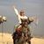 Suzanne Crosina-Sahm's profile image