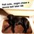 Shawn Stricklen's profile image