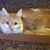 Judith Ann's profile image
