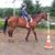 Michele Jageman Brooks's profile image
