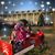 Marie Calnan Koumaras's profile image