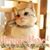 Joy Durbin's profile image