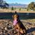 Mary Lindsey's profile image