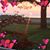 Lory Cavanaugh's profile image