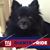 Carole L. Root's profile image