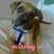 Adrian Dean's profile image