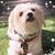 Elle Steger's profile image