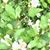 Katherine Martinez-Hazelwood's profile image