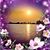 Lori Bahr's profile image