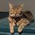Cindy Roberts's profile image