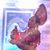 Mae Odette Lleva Po's profile image