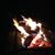 Charlotte Shelton's profile image