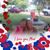 Kelly Ivey-Kelley's profile image