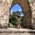 Marie Mc Cormick's profile image
